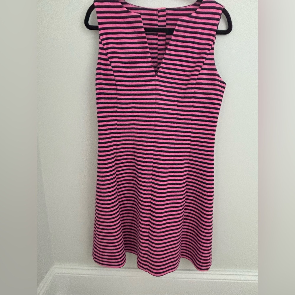 Lilly Pulitzer Pink and Black Striped Dress
